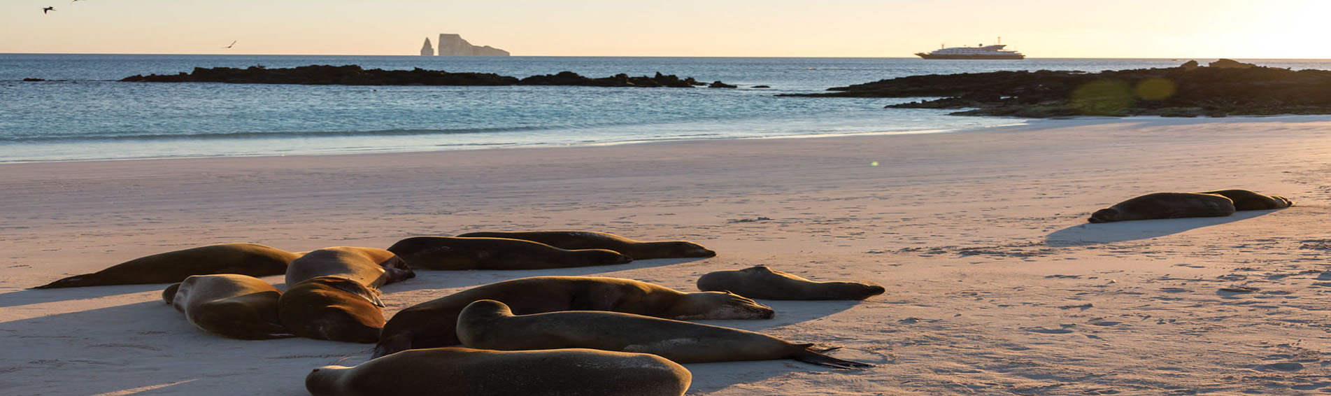 7 DAYS SILVER GALAPAGOS ITINERARY BALTRA TO SAN CRISTOBAL slider