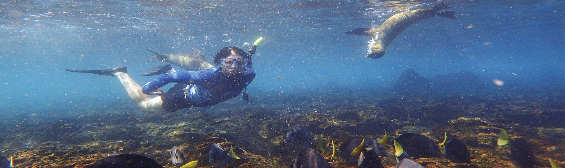 7 DAYS SILVER GALAPAGOS ITINERARY SAN CRISTOBAL TO BALTRA slider