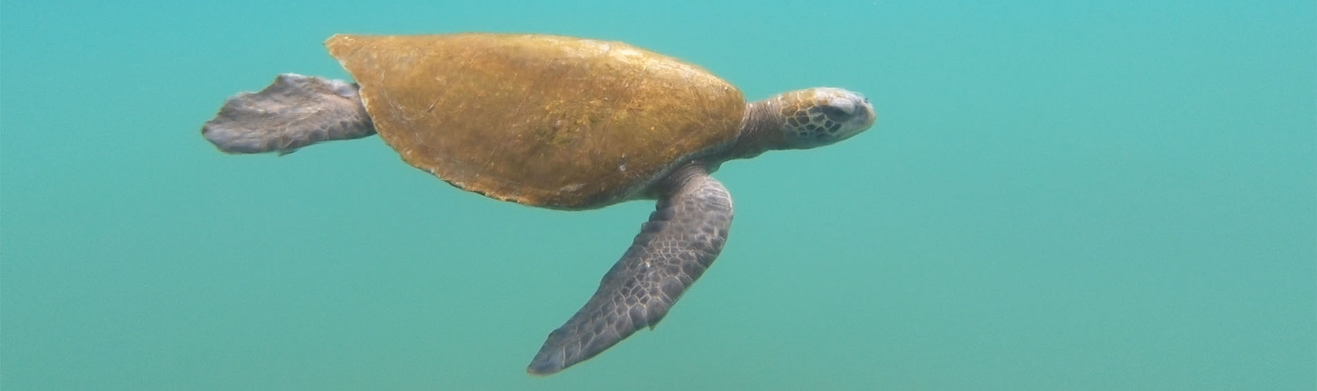 EVOLUTION 8 DAYS GALAPAGOS CRUISE ITINERARY EI slider