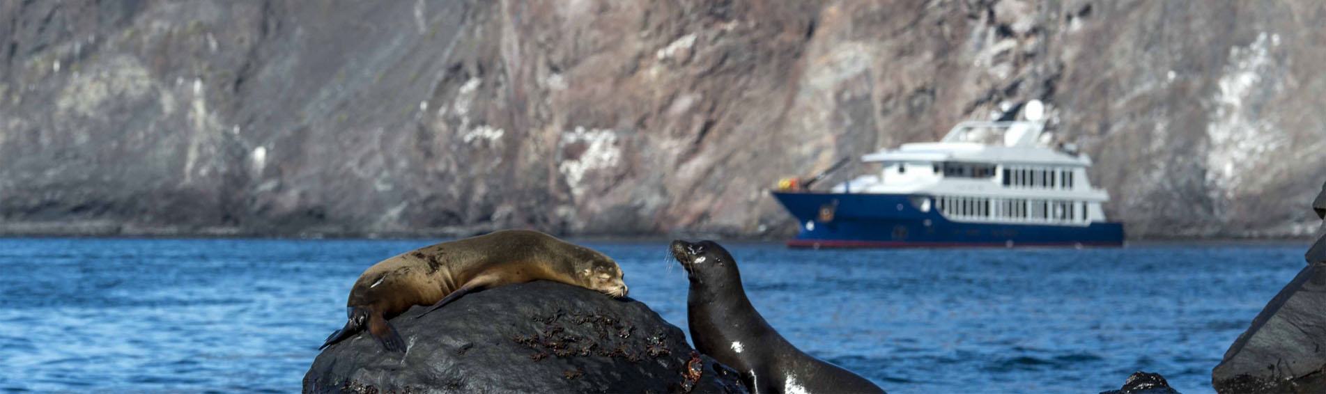 ORIGIN Prices Galapagos Islands cruises