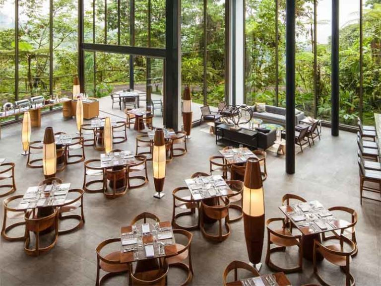 MASHPI LODGE The Terrace viewing area