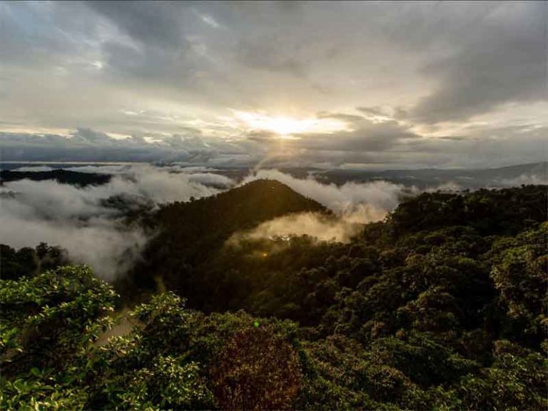 MASHPI LODGE in the mist