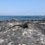 Best Galapagos Cruise Prices 2021