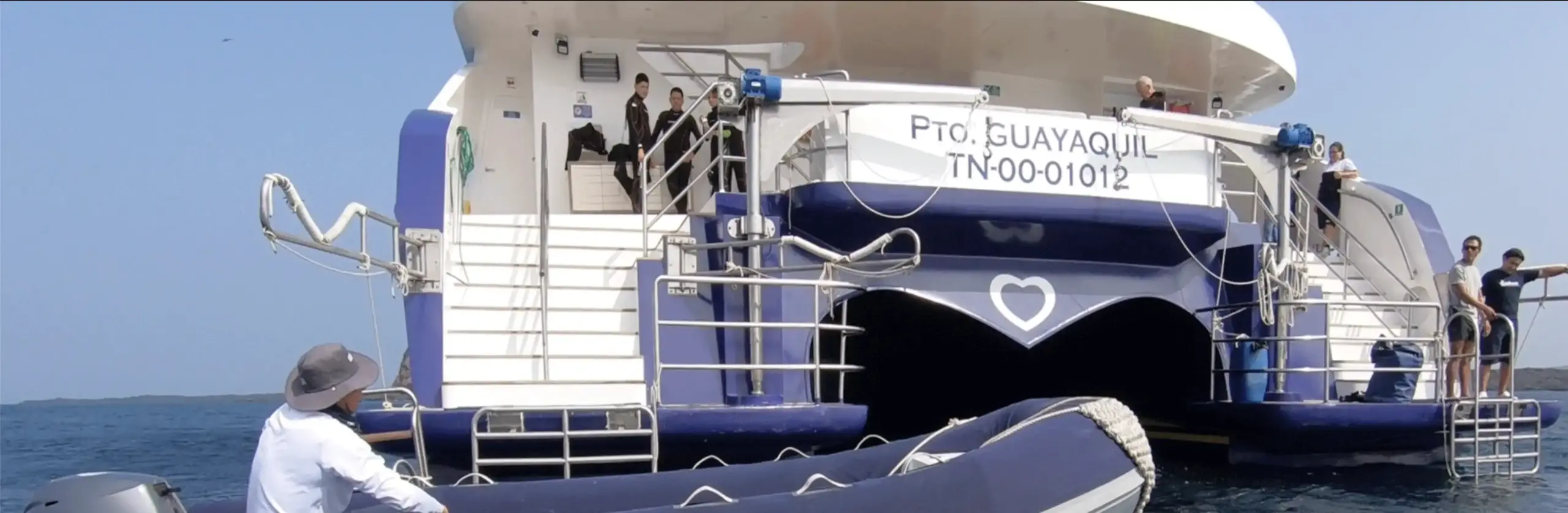 ENDEMIC-DATES slider rear view