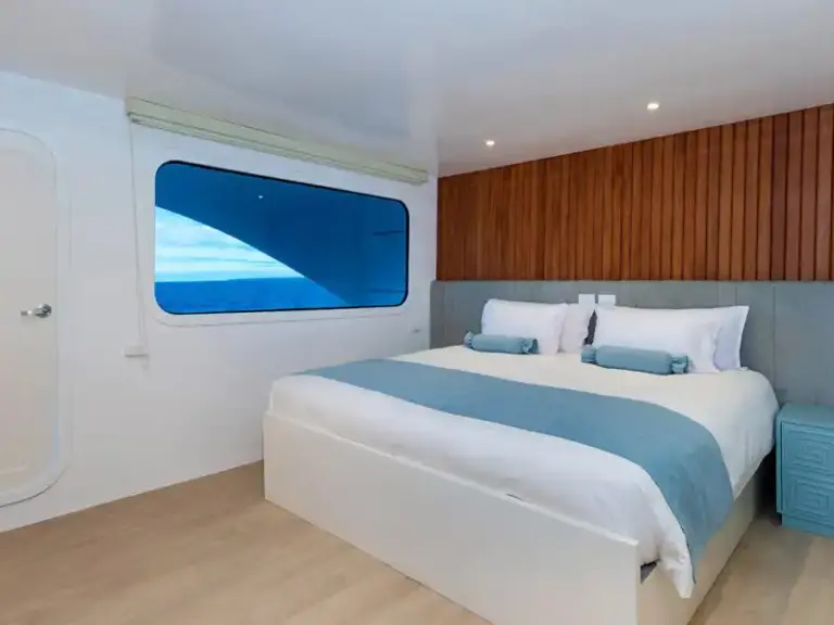 Golden-Stateroom-King-10-800x600 copy