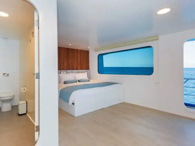 Golden-Stateroom-King-3-800x600 copy