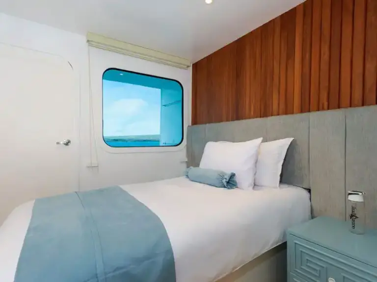 OCEAN SPRAY Golden-Stateroom-Single-1-800x600 copy