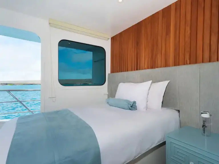 OCEAN SPRAY Golden-Stateroom-Single-2-800x600 copy