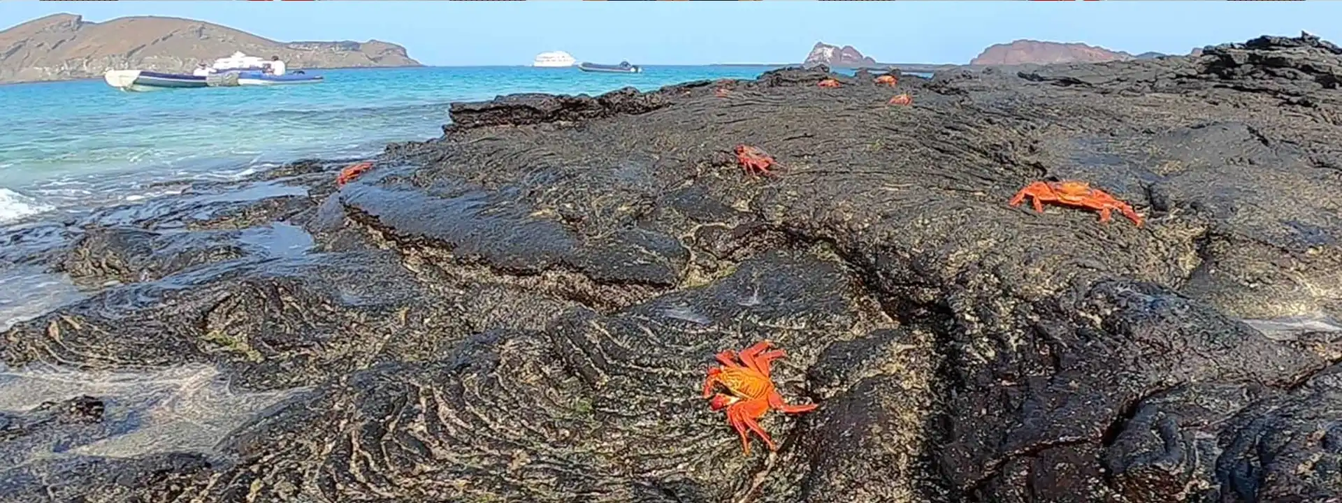 PETREL ITINERARIES slider red crabs