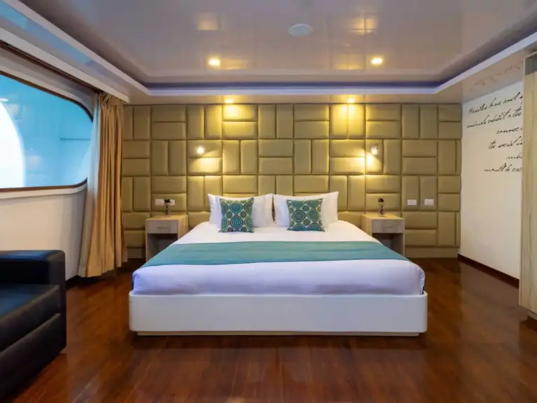 PETREL cabin King Bed front on