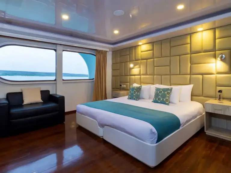 PETREL cabin ocean view King bed