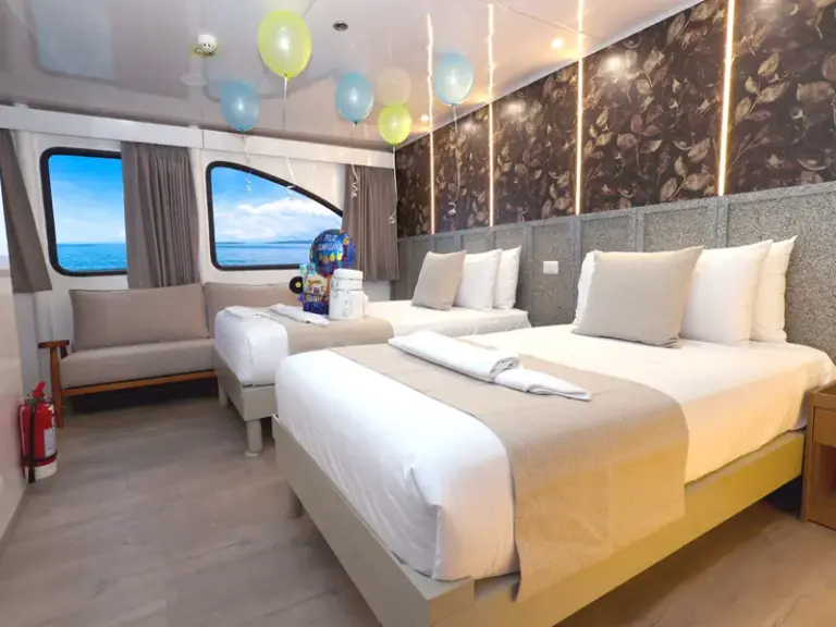 ECOGALAXY-cabins-matrimonial-two-beds-image