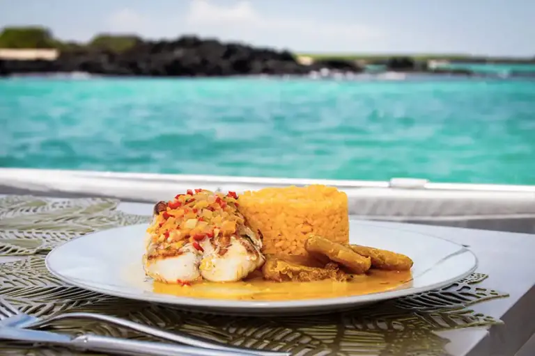 GALAXY DAILY dining fish