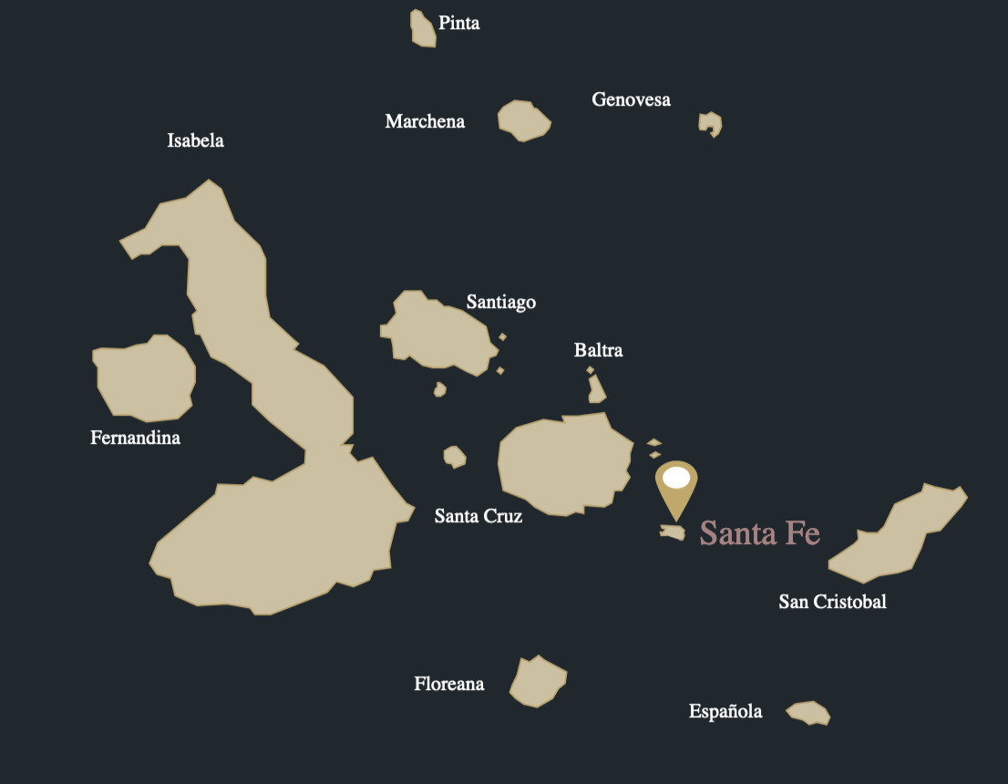 GALAXY-DAILY-itineraries-image