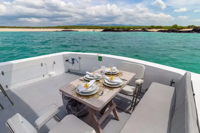 GALAXY DAILY rear deck table dining