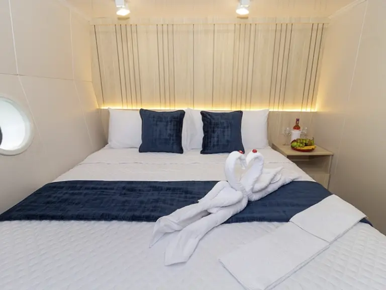 GALAXY-ORION-matrimonial-cabins-image