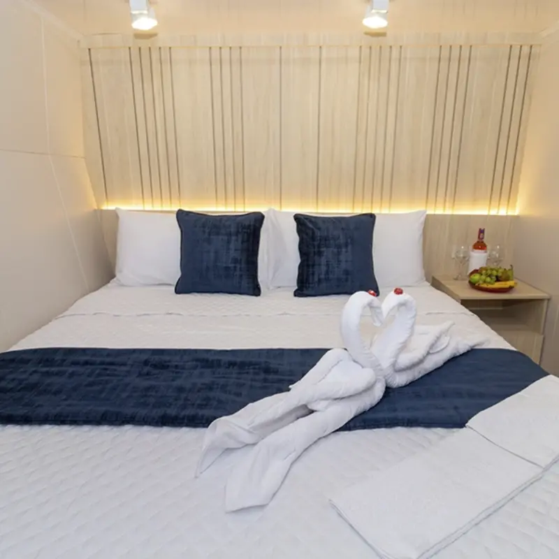 GALAXY-ORION-matrimonial-cabins-image