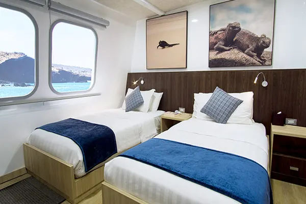 NATURAL-PARADISE- MAIN-DECK-standard-suite-image