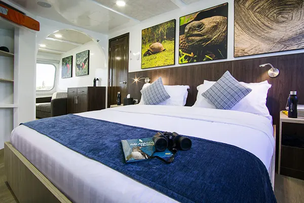 NATURAL-PARADISE-UPPER- MAIN-DECK-junior-suite-image