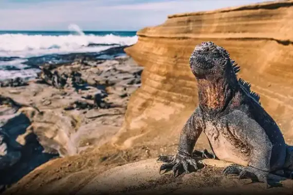 SANTA CRUZ ISLAND
