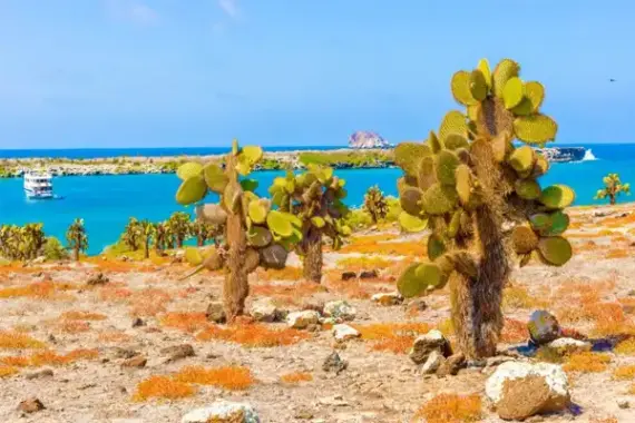 SOUTH PLAZA ISLAND image