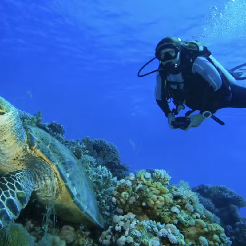 AQUA MARE ITINERARIES snorkelling