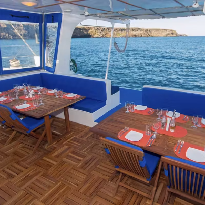 NEMO II dining tables blue seating