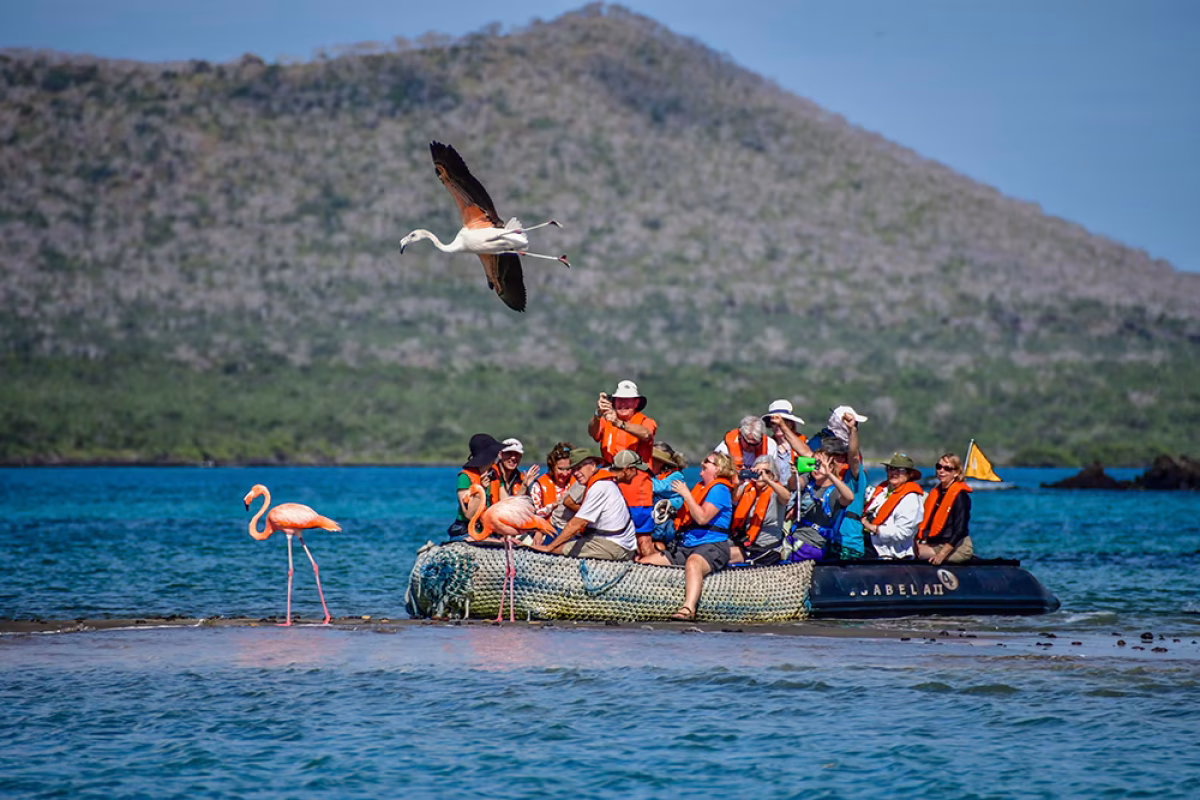 A Living Laboratory of Exploration-Yacht-Isabela-II-Panga-Ride-1