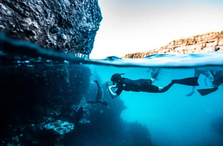 La Pinta snorkeling-la-pinta