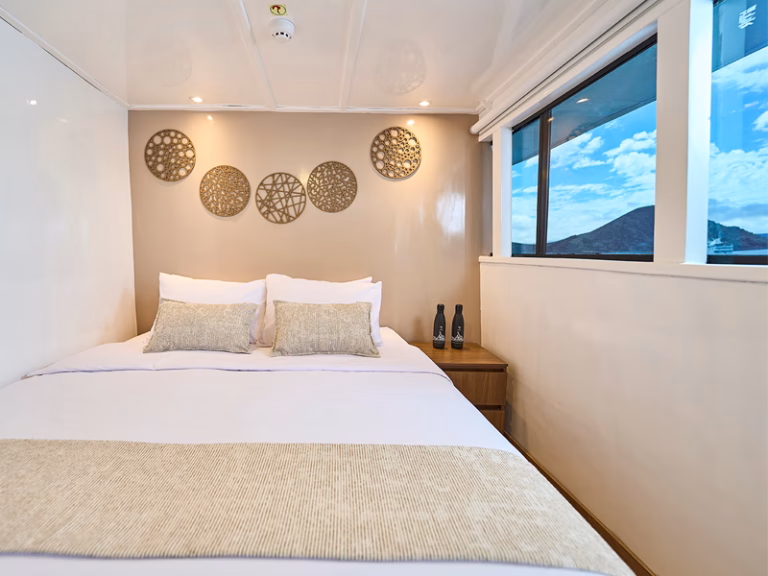 Monserrat-Yacht-Cabins-Matrimonial-800x600